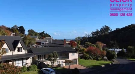 Andersons Bay School Zone - Photo 5