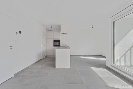 Lauwe - Appartement te huur met 2 slaapkamers - Foto 4