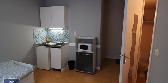 Location Appartement 1 pièce 15m² GRENOBLE 38000 - Photo 2