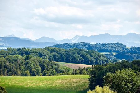 Geräumige, helle 3.5 Zimmerwohnung - Photo 4