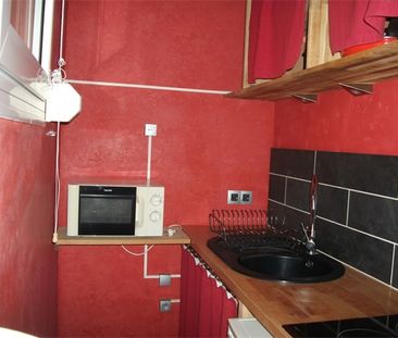 Appartement - 2 pièces - Jardin Lecoq/Facultés - Photo 4