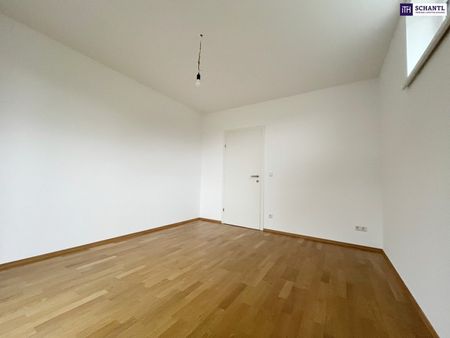 EINMALIGE 2-3 Zimmer Wohnung! Auch als WG geeignet! Großzügiger WESTBALKON! Ab sofort verfügbar! Haustiere erlaubt! - Photo 3