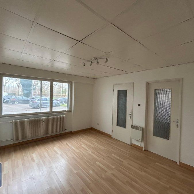 Appartement 1 pièce à Illkirch-Graffenstaden - Photo 1