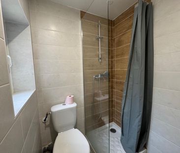 Location Appartement 1 pièce 20m² ST ETIENNE 42000 - Photo 3