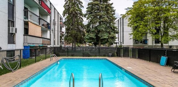 GRAND ET LUMINEUX 3.5 DISPONIBLE 1ER NOVEMBRE!! - Photo 2