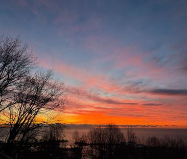 For Lease - 11 Redland Crescent, Toronto, Ontario - Photo 2