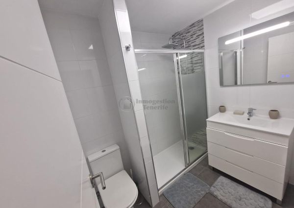 1 Bedroom apartment for rental in Las Galletas - Alborada
