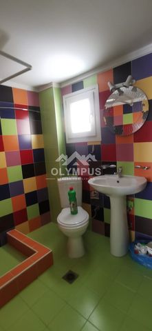 Studio / γκαρσονιέρα 30 τ.μ. για ενοικίαση, Θεσσαλονίκη - Κέντρο, Κάτω Τούμπα - Φωτογραφία 4