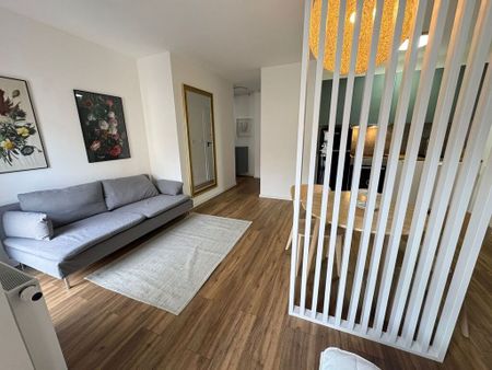 (Symbol 439252) MIESZKANIE na WYNAJEMSzczecin, Centrum Na wynajem kawalerka Jasne Błonia - Zdjęcie 3