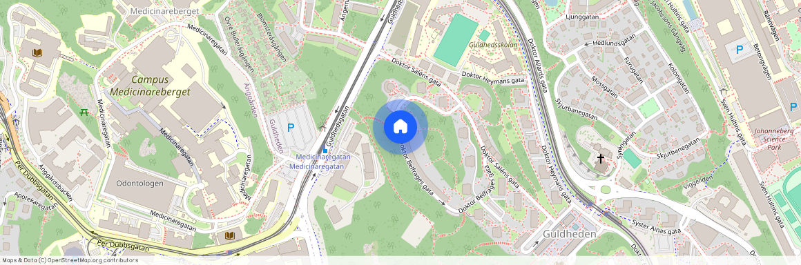 Guldheden, Göteborg, Västra Götaland, Doktor Belfrages Gata 4