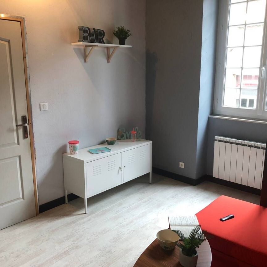 Amazing flatshare in the City Center of Nantes - Photo 1