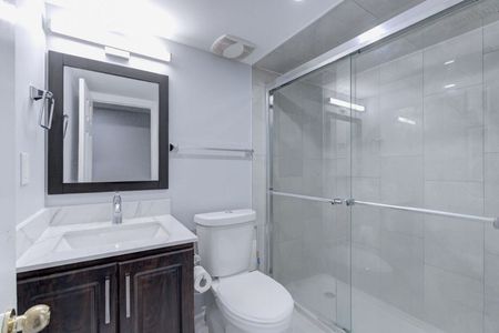 For Lease - 4 Dalia Street Unit# Basement, Brampton, Ontario - Photo 3