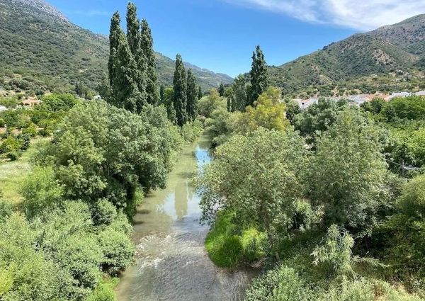 Terraced house - Benaojan
