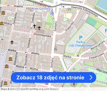 Piękne mieszkanie w ścisłym centrum Poznania - Zdjęcie 1