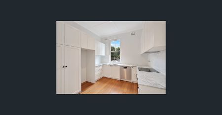 Oversized Sun Drenched Three Bedroom House Like Apartment - Photo 3