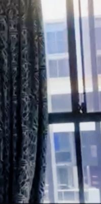 19 joyton ave Zetland, Sydney - Photo 1