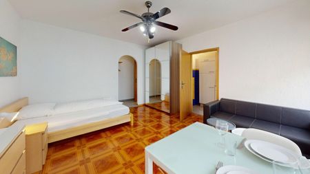 Unique Serviced Living @ Basel SBB / Gundeldingen - Photo 4