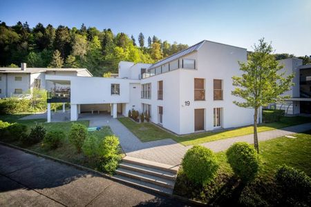 Rent a 2 ½ rooms apartment in Birmensdorf - Photo 5