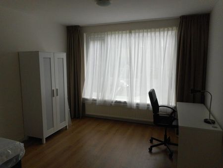 Te huur: Kamer Adonispad in Eindhoven - Photo 2