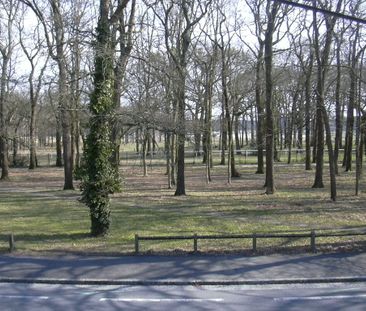 Location Appartement 2 pièces 47m² NANTES 44300 - Photo 6