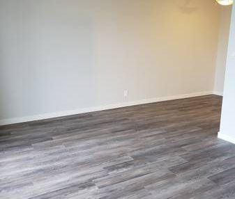 NEWLY RENOVATED 2 Bedroom + 1 Bath! Spacious and bright with VIEWS!!! - Photo 4