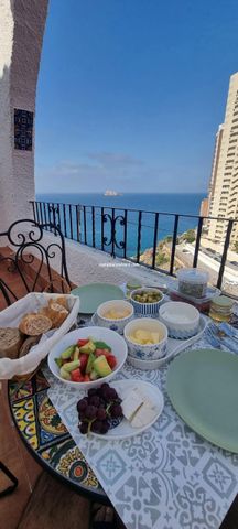 Benidorm Winter let - Photo 4