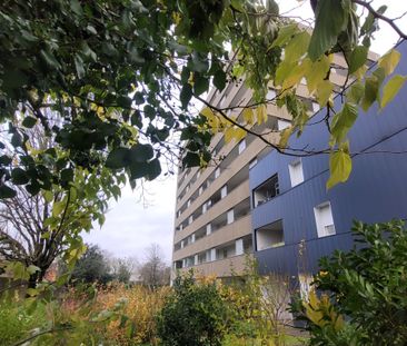 Location Appartement 2 pièces 40m² NANTES 44200 - Photo 4