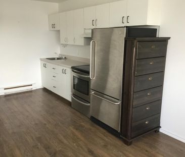 Appartement 3 1/2 à louer Trois Rivieres - Photo 4