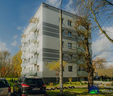 Sosnowiec - Фото 5