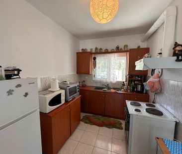 Μονοκατοικία για ενοικίαση Νέα Παλάτια (Ωρωπός) - Φωτογραφία 4