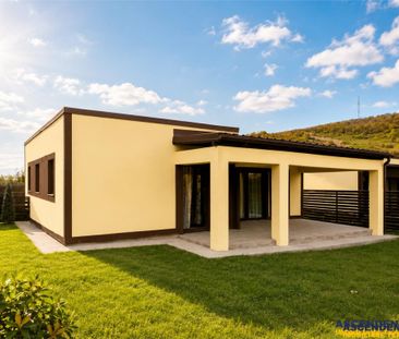 Casa singura in curte, Zizin, Tarlungeni, Brasov - Photo 6