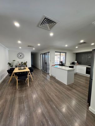 Marangaroo - Photo 1