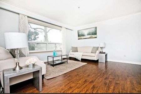 For Lease - 31 Romulus Drive Unit# Main, Toronto, Ontario - Photo 5