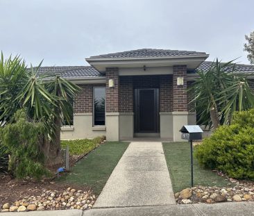 Large Living in the Alamanda School Zone - Photo 1