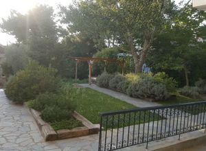 Διαμέρισμα για ενοικίαση - Χορτιάτης, - Photo 3
