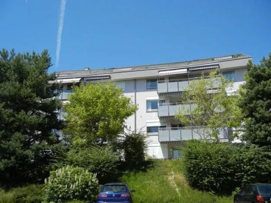 Joli appartement de 2 pièces dans un quartier proche de la nature - Foto 1
