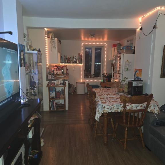 Logement 4 1/2 Sainte Martine - Photo 1