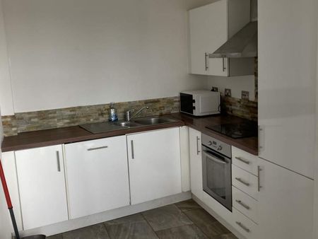 Castle Lofts – Duplex Apartment - Photo 2