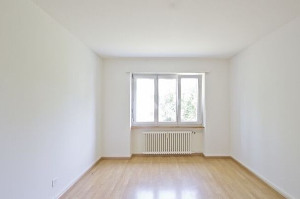 Cozy apartment in Muttenz - Photo 1