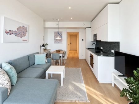Elevated Living with Iconis Danube Views and Swimmingpool: DANUBEFLATS: - Foto 2