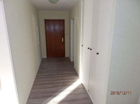 T3/4 La Wantzenau - Photo 3