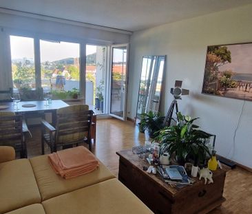 31/2 ROOM APARTMENT IN NEUENHOF (AG), FURNISHED, TEMPORARY - Photo 1