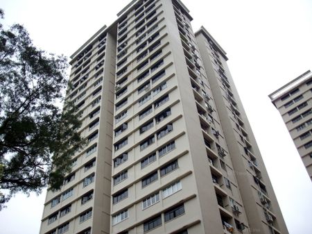 Blk 13 Dover Heights (Queenstown), HDB 5 Rooms - For Rent - Photo 5