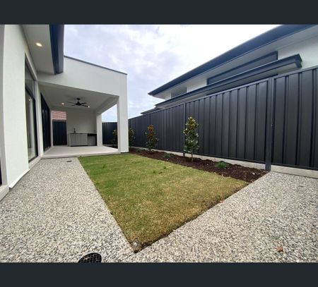 4 Janet Avenue, Glynde, SA 5070 - Photo 2