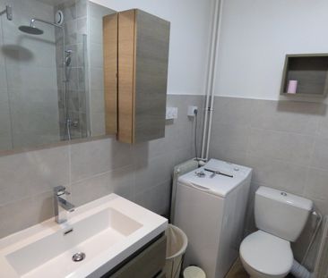 Location / Appartement T1 bis - Photo 1