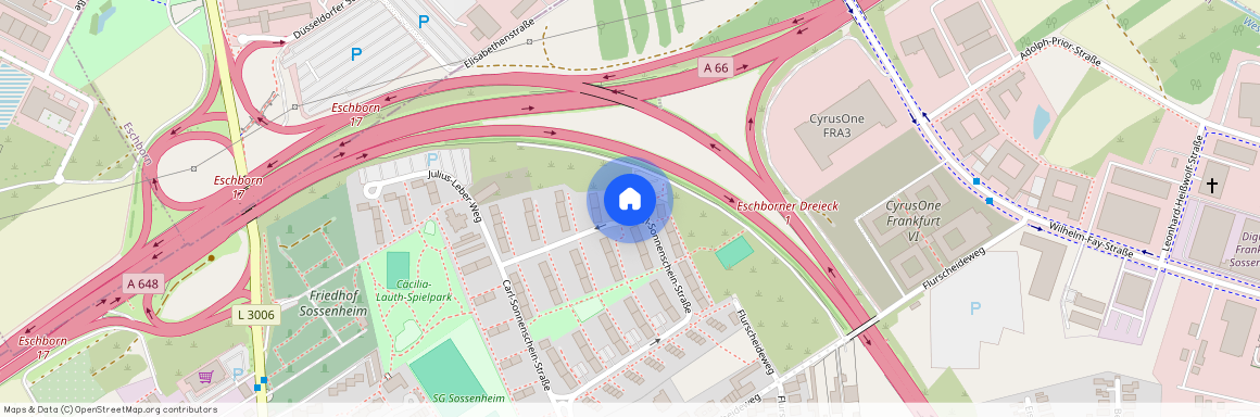 Carl-Sonnenschein-Straße 58, 65936, Frankfurt Am Main