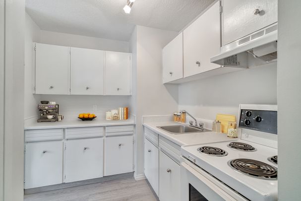 Chateau Apartments - Photo 1