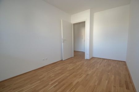 Annenviertel/Zentrum – 40 m² inkl. Loggia – 2 Zimmer-Wohnung – nach Vereinbarung ( noch bewohnt ) - Photo 4