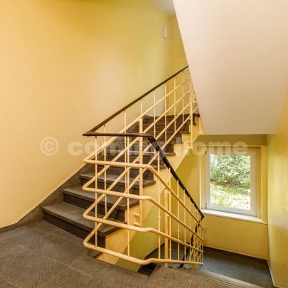 Urban Single Living - Photo 1