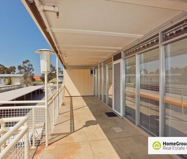 17/47 McMillian Crs, Griffith ACT 2603 - Apartment For Rent | Domain - Photo 2